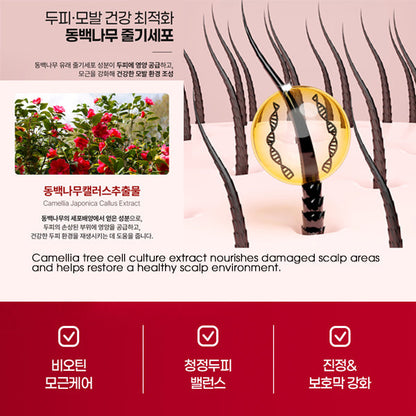 Paul Medison Hair Therapy Biotin Ampoule - Scalp Care