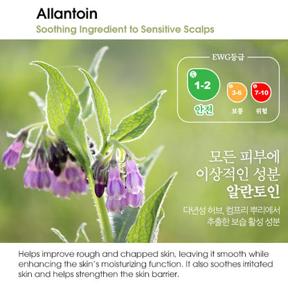 [PAUL MEDISON] Deep Red Fast Hair Loss Shampoo