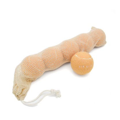 Classic Tennis Ball Set of 5 - Sand