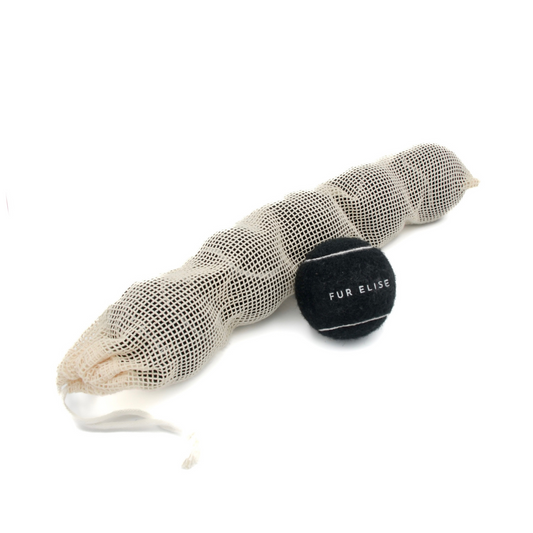 Classic Tennis Ball Set of 5 - Noir