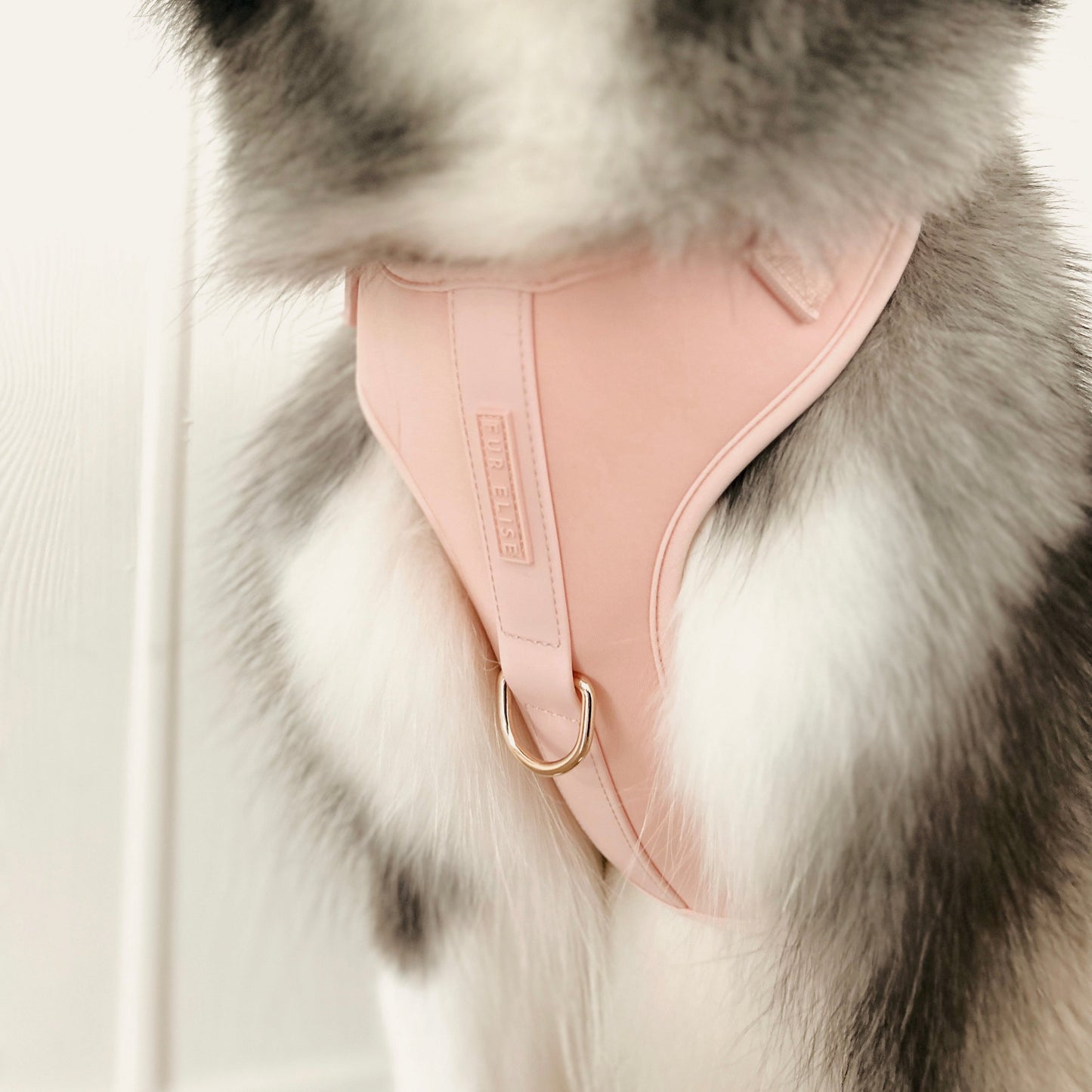 The Essentials Walk Set - Rose