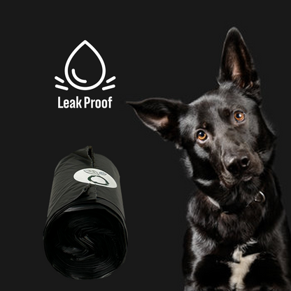 beyondGREEN Dog Waste Bags – Folded Rolls – Made in USA, Leak-Resistant, Extra-Strong