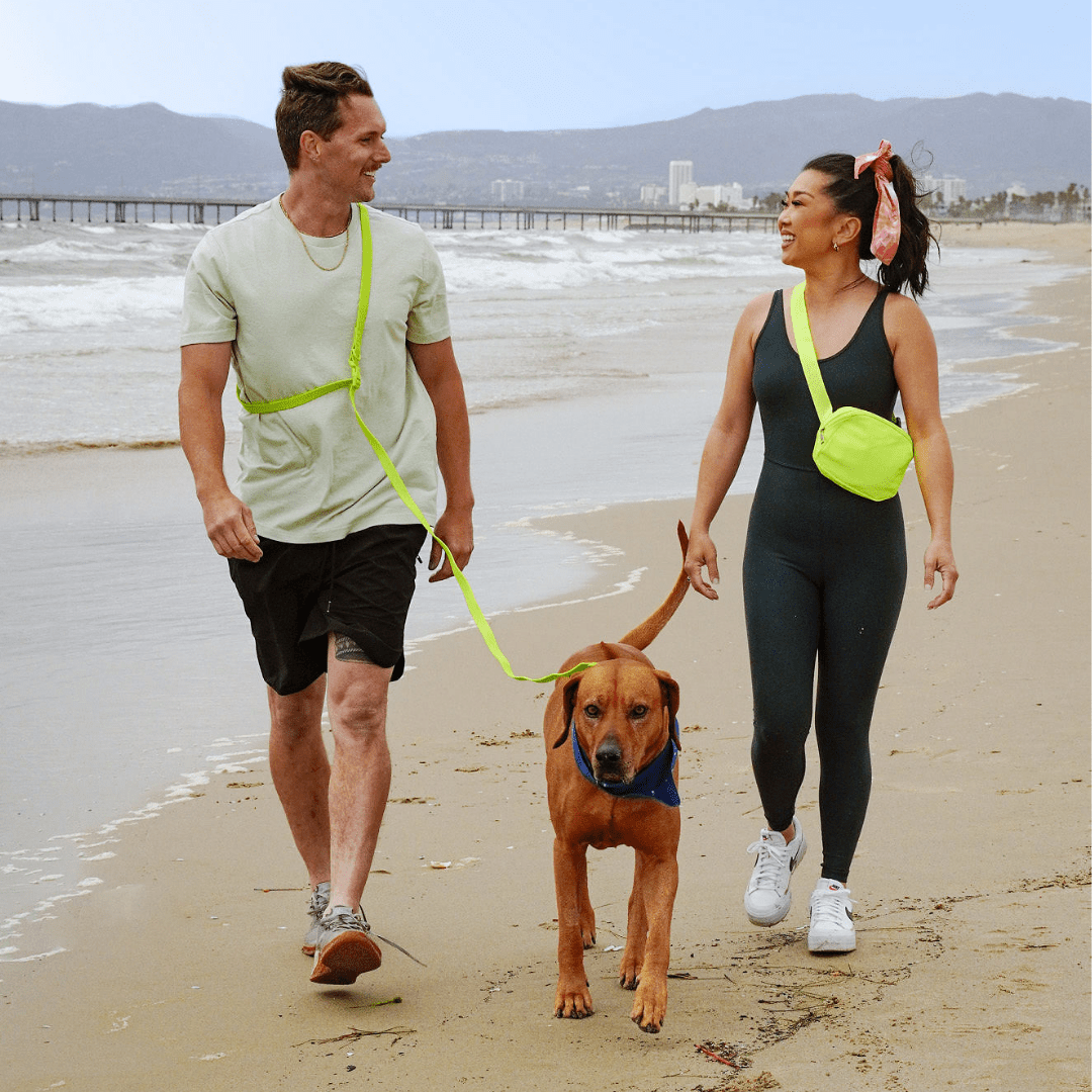 PVC Handsfree Dog Leash - All Weather Waterproof Durable & Odor-Resistant