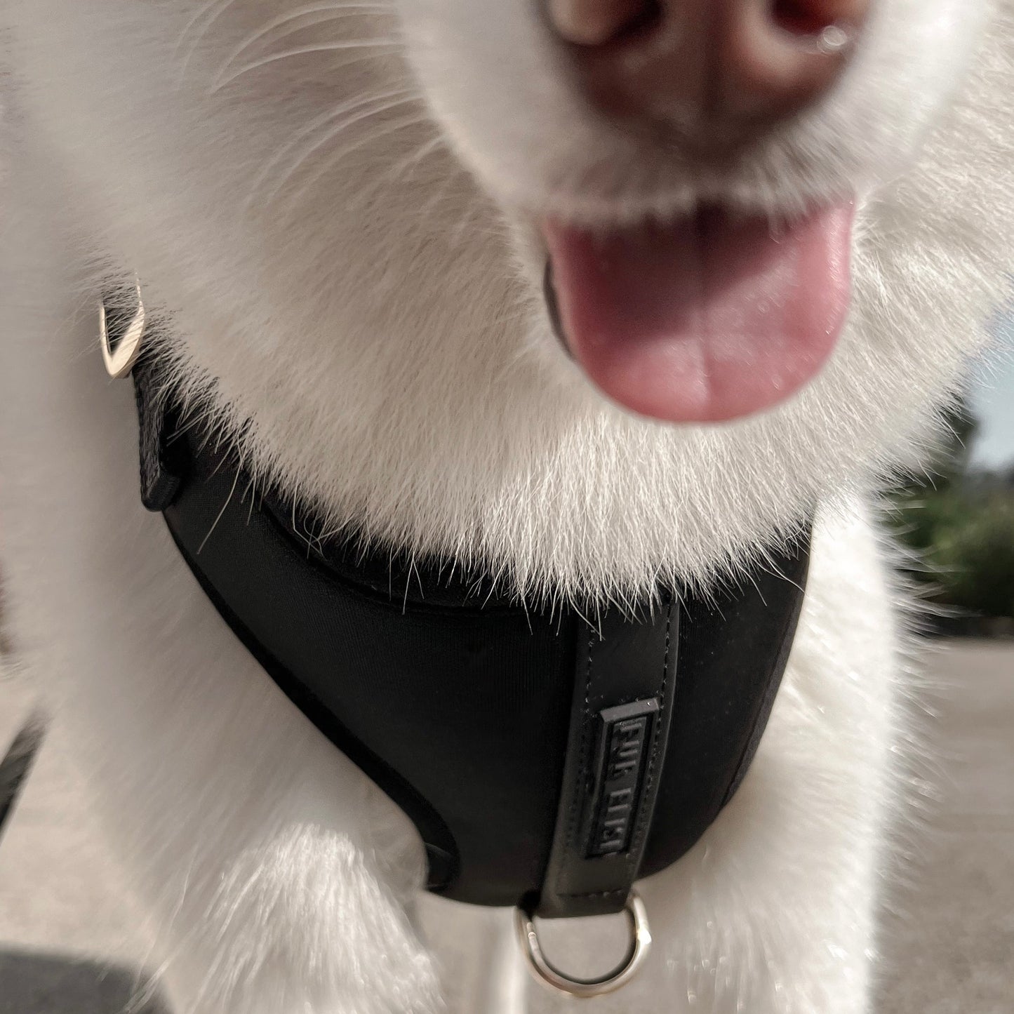 The Ultimate Walk Set - Noir