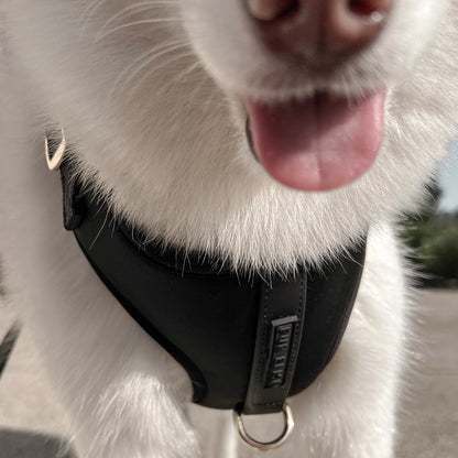 The Ultimate Walk Set - Noir