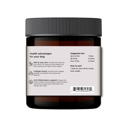 Allergy & Immune Chews (90 Chews)