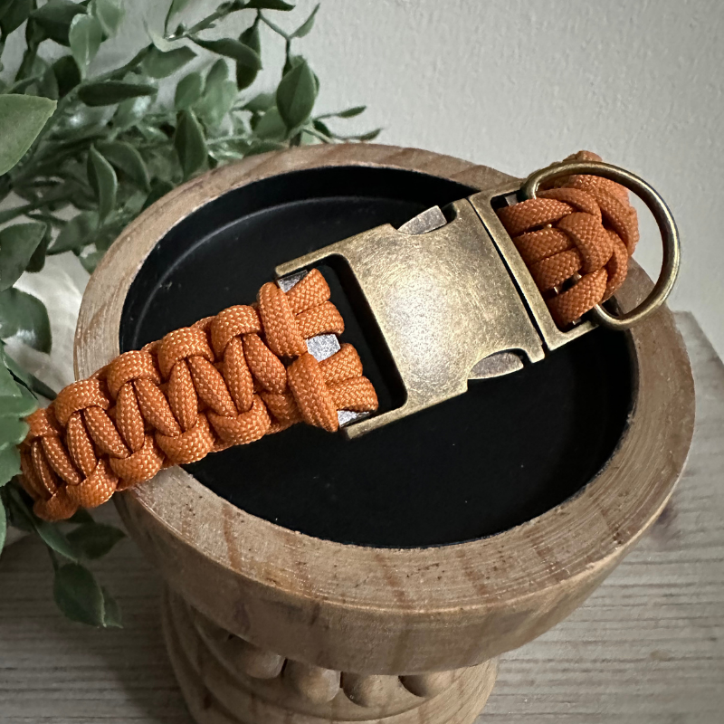 Cobra Braid in Mustard - Handmade Dog Collar