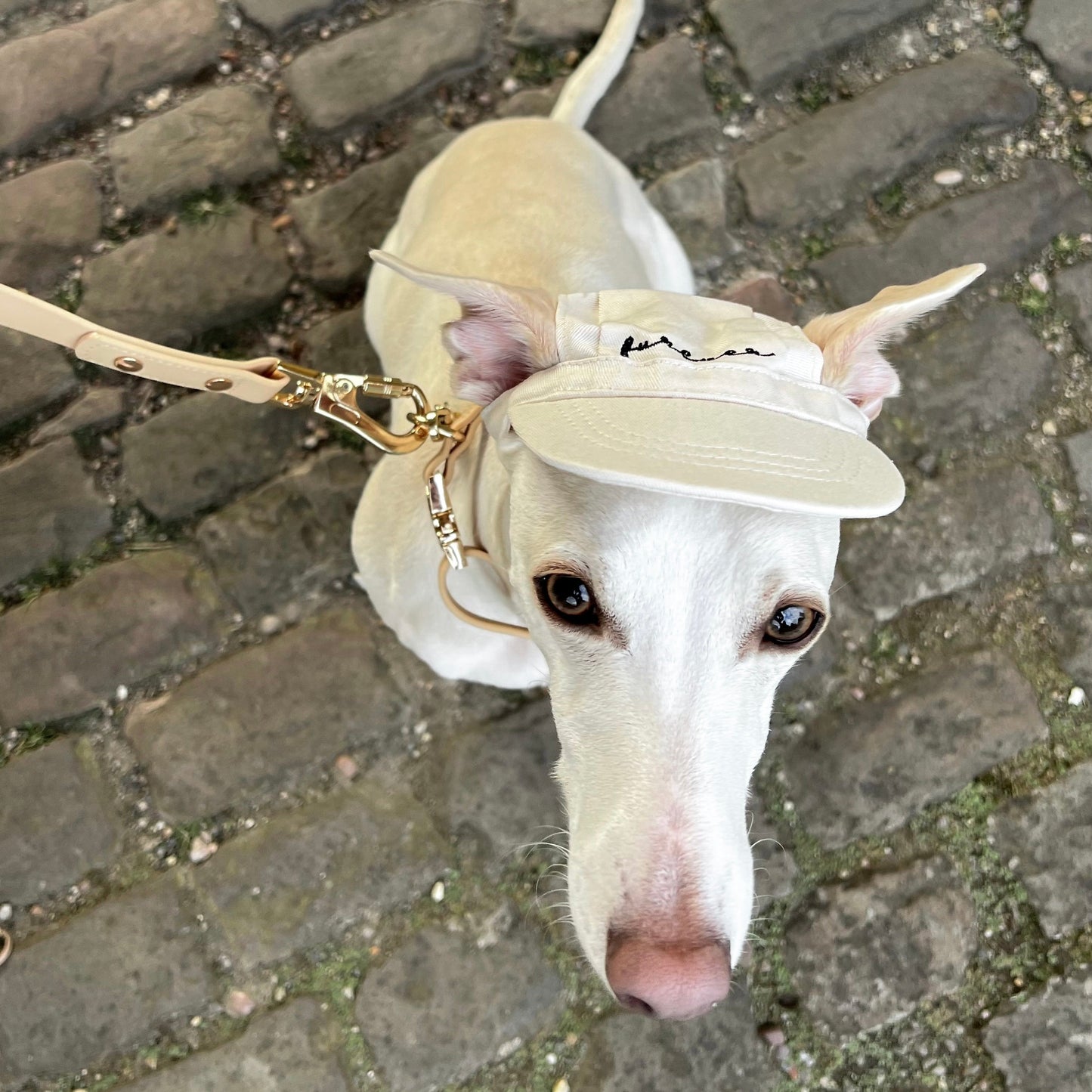 Furever Hat Bundle