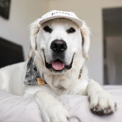 Furever Hat Bundle