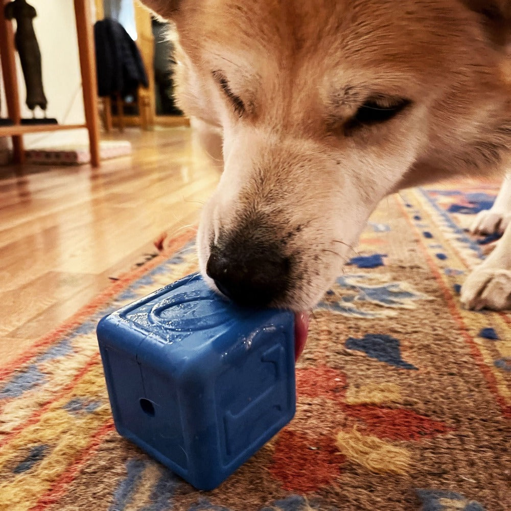 Love Cube eDispenser - Durable Rubber Chew Toy & Treat Dispenser | USA Made
