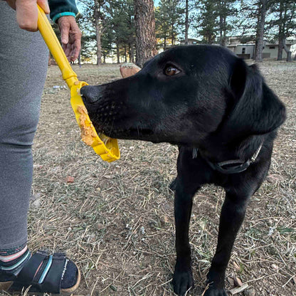 eStick Hand-Held Dog Enrichment Toy - Interactive Lick Stick | USA Made