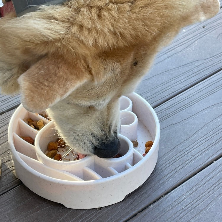 Java eBowl Deep Slow Feeder Dog Bowl for Enrichment | USA Made
