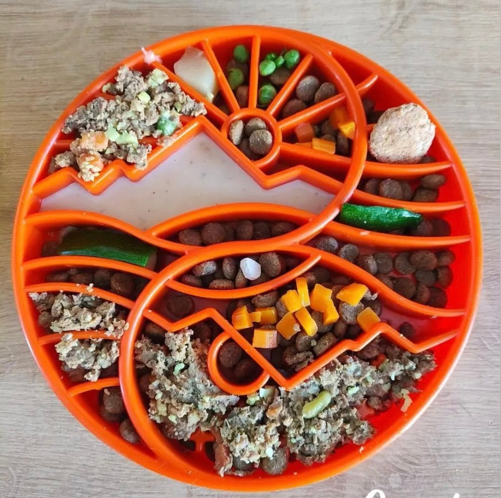 Sun and Moon eTray - Shallow Slow Feeder Dog Bowl for Enrichment | USA Made