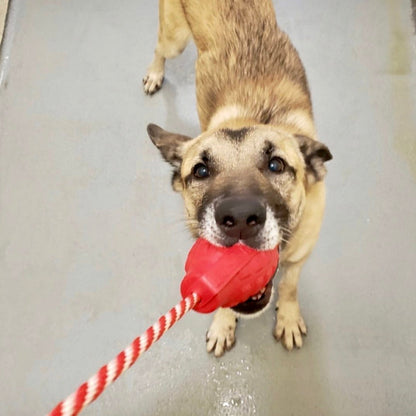 USA-K9 Grenade Shaped Durable Rubber Chew Toy, Treat Dispenser, Reward Toy, Tug Toy, and Retrieving Toy