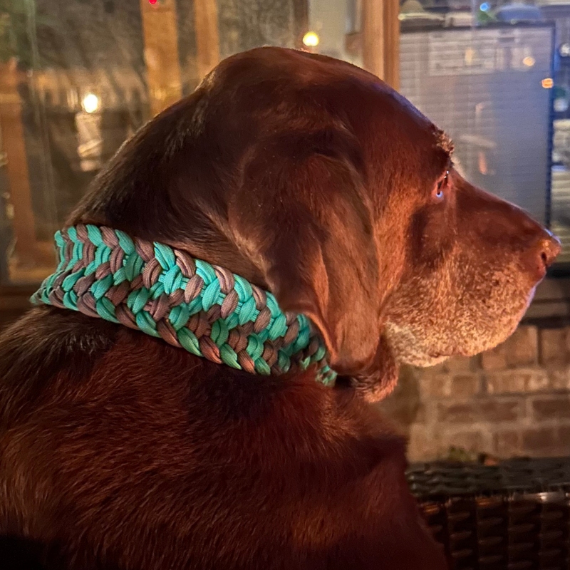 Josephine Braid Handmade Dog Collar - Customize Your Colors