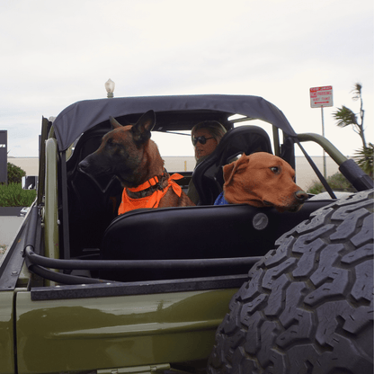 Hemp Cotton Dog Collar - Durable, Sustainable, Adjustable, Lightweight & Soft