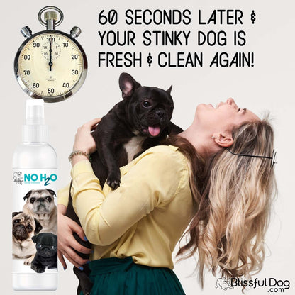 No H20 Spray Pet Shampoo