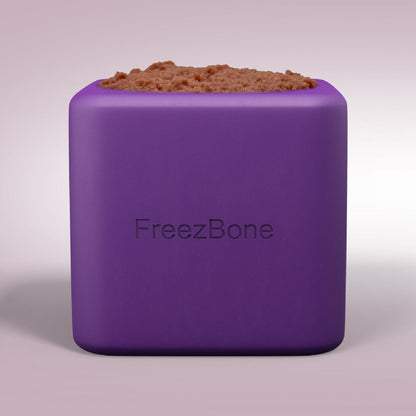 Freezbox - Super Tough Treat Toy