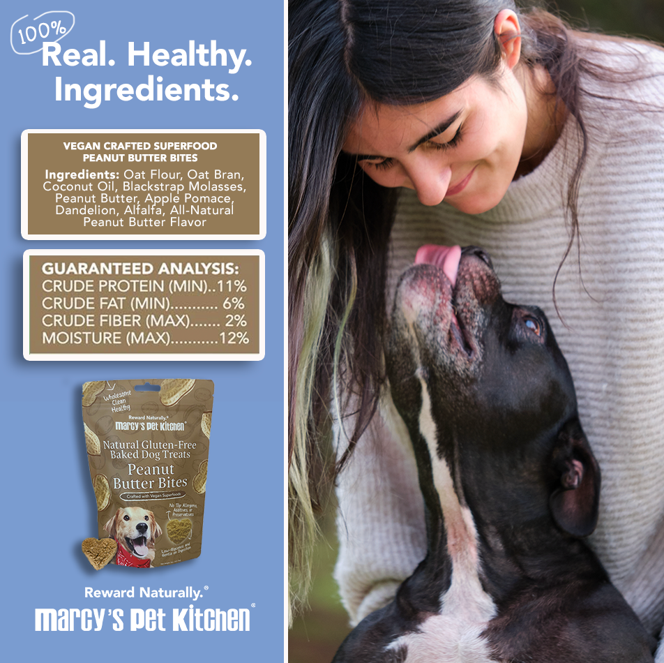 All-Natural Peanut Butter Dog Treats - Homemade-All Natural Dog Treats for Digestive Help - Gluten Free Healthy Human Grade Dog Biscuits for Sensitive Stomachs- USA Made