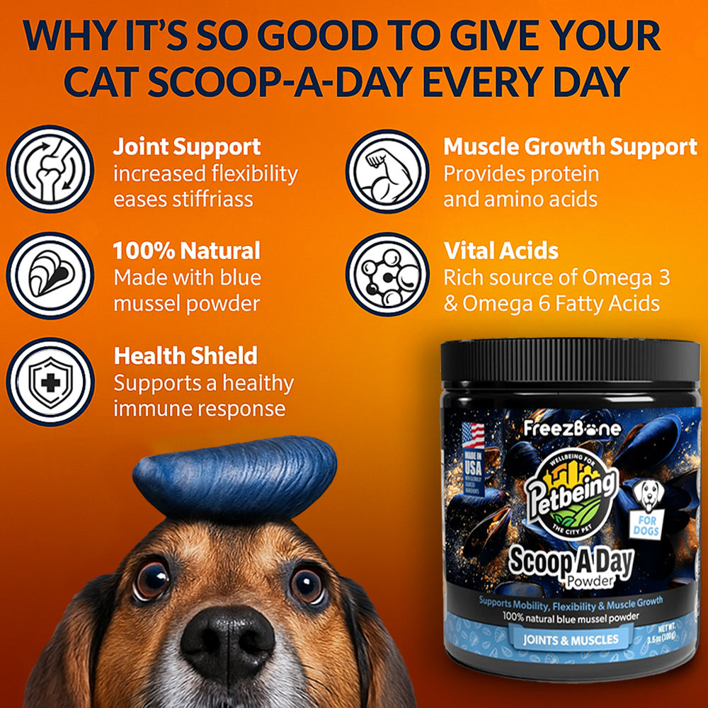 Freezbone Scoop-A-Day Joint & Mobility Powder