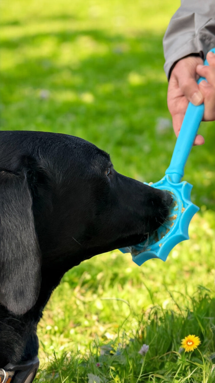 eStick Hand-Held Dog Enrichment Toy - Interactive Lick Stick | USA Made