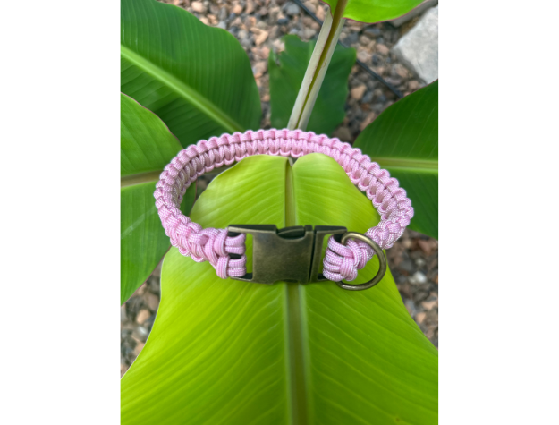 Cobra Braid in Pink & White Stripes - Handmade Dog Collar