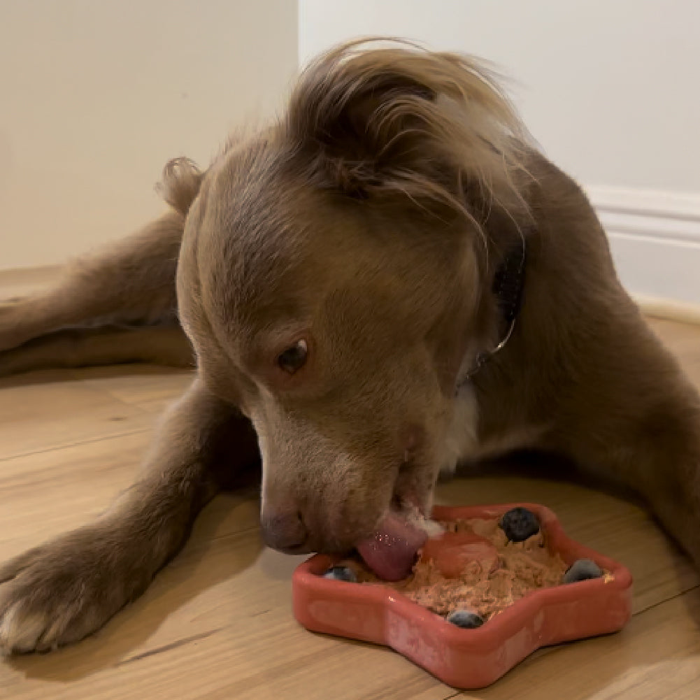 FreezStar - Long-Lasting Star Chew