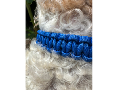 Cobra Braid in Royal Blue - Handmade Dog Collar