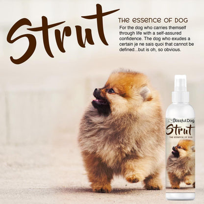 Strut Dog Cologne for the Ruler of the Kingdom