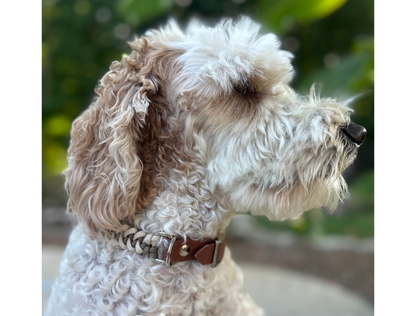 Fishtail Hand Braided Dog Collar in Tan & Cream
