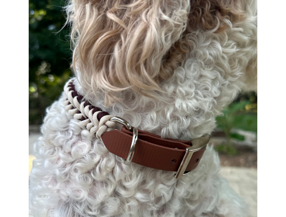 Fishtail Hand Braided Dog Collar in Burgundy & Cream
