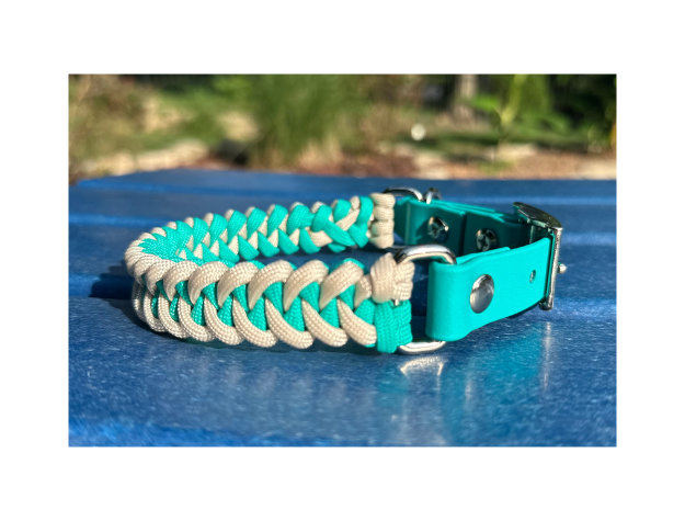 Fishtail Hand Braided Dog Collar in Teal & Cream