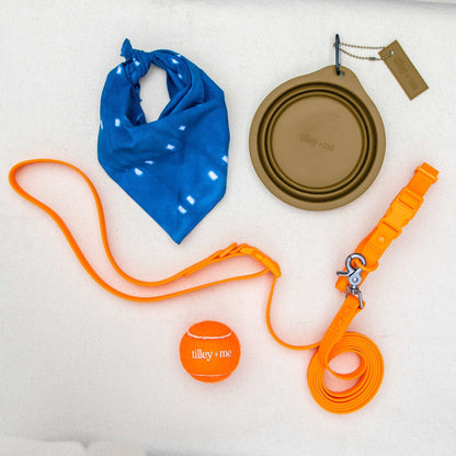 Collapsible Pet Bowl with Clip – Compact, Reusable and Easy to Clean