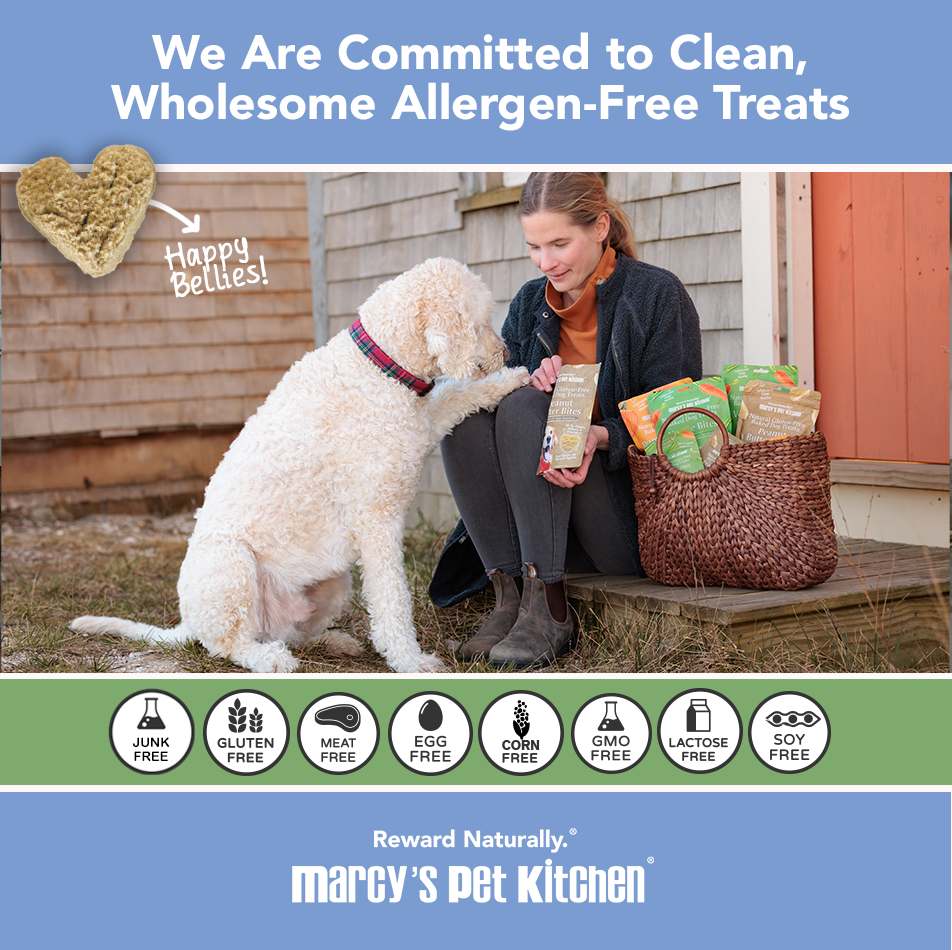 Marcy's Pet Kitchen® - 'On-The-Go' All-Natural, Vegan Veggie Biscuit 1 oz Healthy Dog Treats
