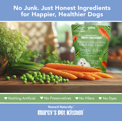 Marcy's Pet Kitchen® - 'On-The-Go' All-Natural, Vegan Veggie Biscuit 1 oz Healthy Dog Treats