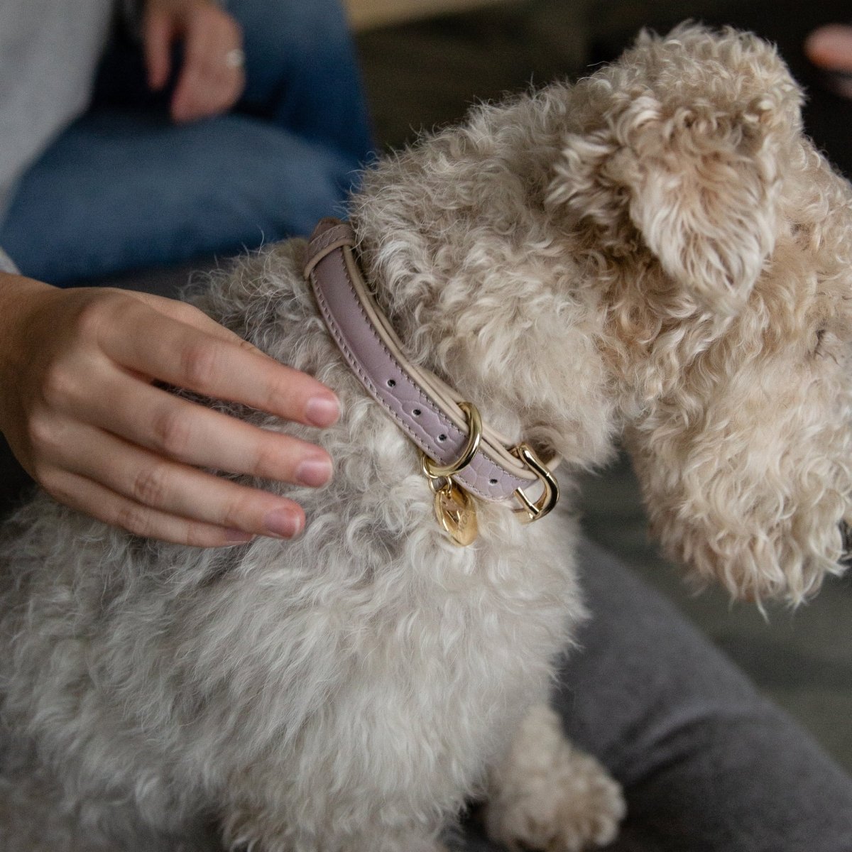 Collar - Vegan Leather
