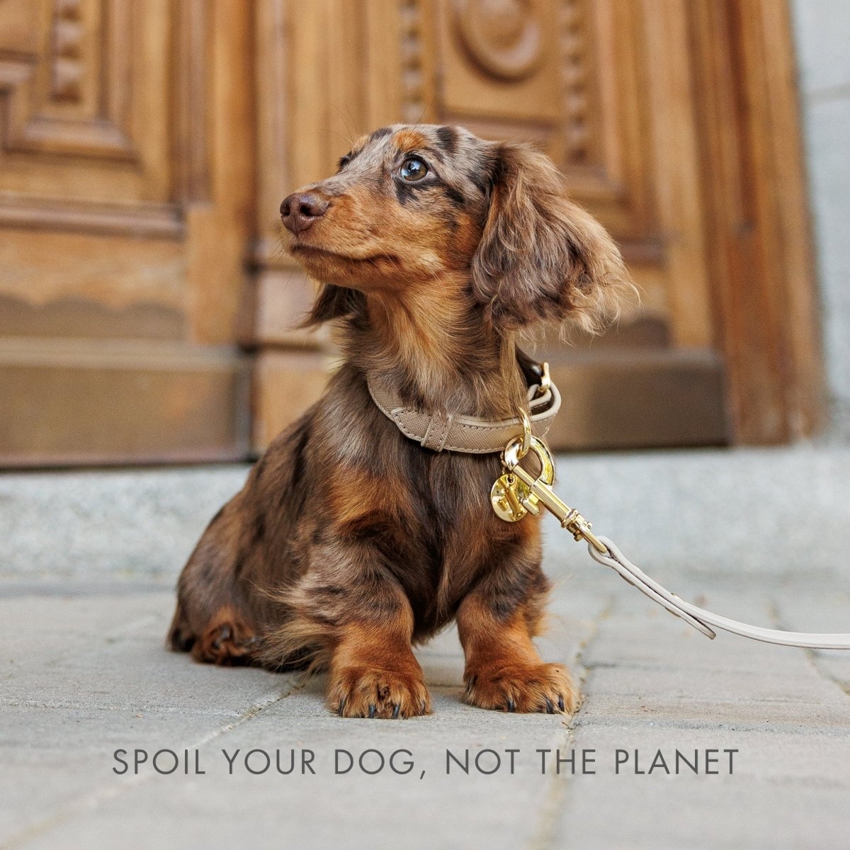 Collar - Vegan Leather