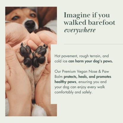 Dog Vegan Nose and Paw Balm