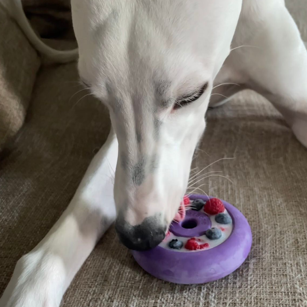 Freez Doughnut - Super Durable Treat Toy