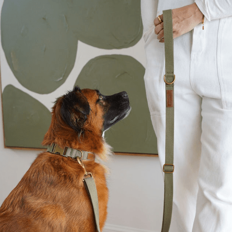 Hemp Cotton Dog Leash - Durable, Sustainable, Adjustable, Lightweight & Soft