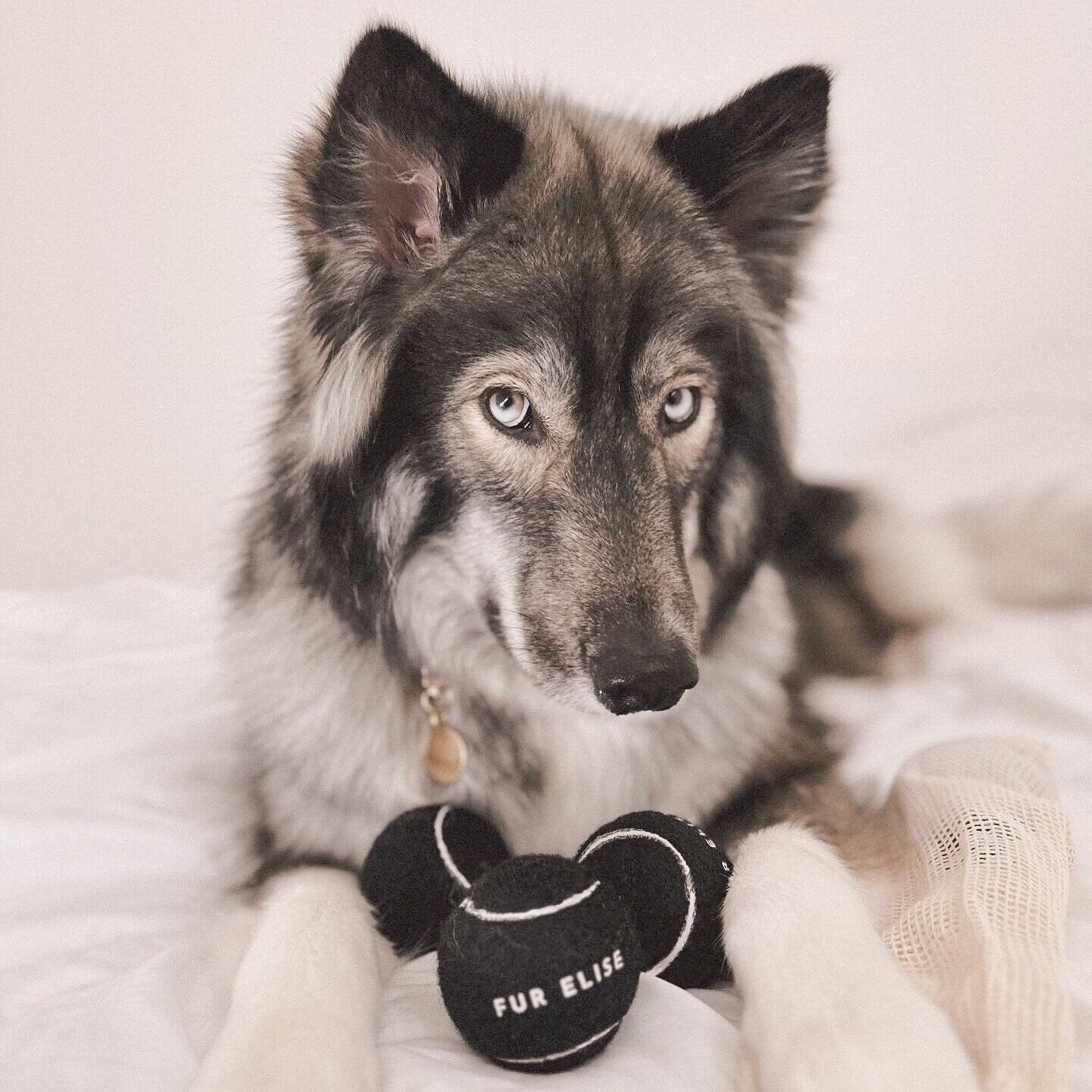 Classic Tennis Ball - Noir