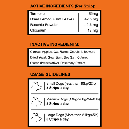 Freezbone Veggie Stick Bundle (4/pack: Carrot - Pumpkin - Apple mix)