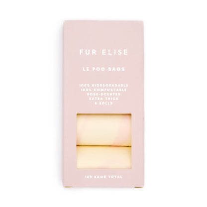 The Ultimate Walk Set - Rose