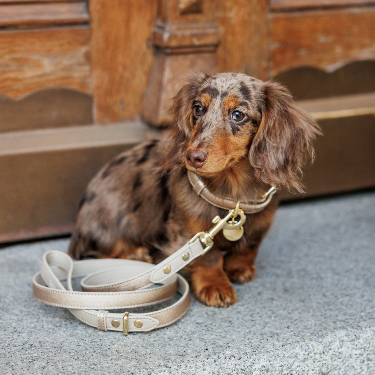 Leash 4ft - Vegan Leather