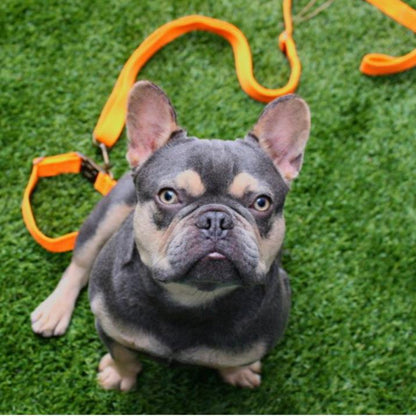 Hemp Cotton Dog Leash - Durable, Sustainable, Adjustable, Lightweight & Soft