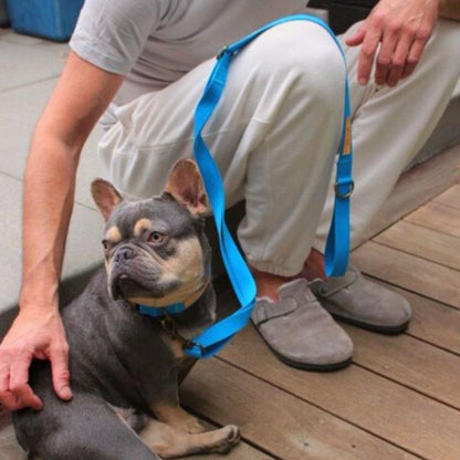 Hemp Cotton Dog Leash - Durable, Sustainable, Adjustable, Lightweight & Soft