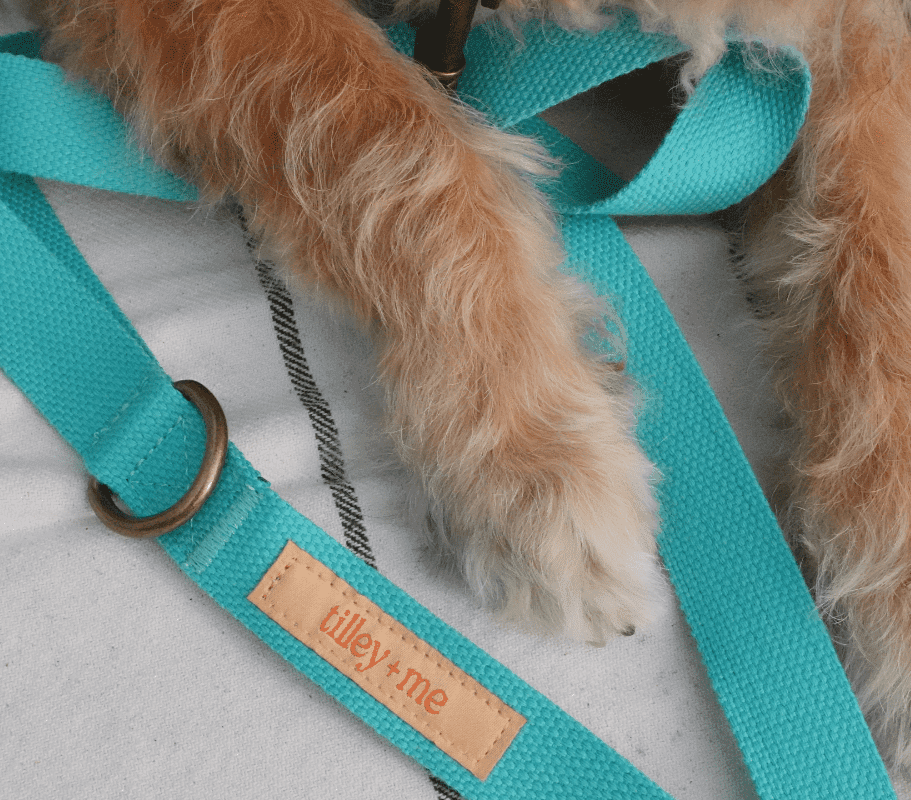 Hemp Cotton Dog Leash - Durable, Sustainable, Adjustable, Lightweight & Soft