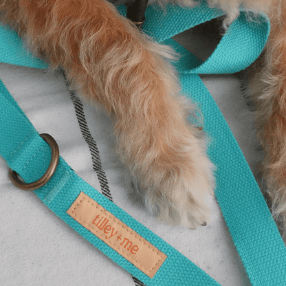 Hemp Cotton Dog Collar - Durable, Sustainable, Adjustable, Lightweight & Soft
