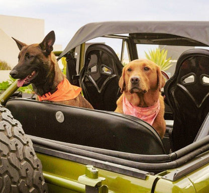 Hemp Cotton Dog Collar - Durable, Sustainable, Adjustable, Lightweight & Soft