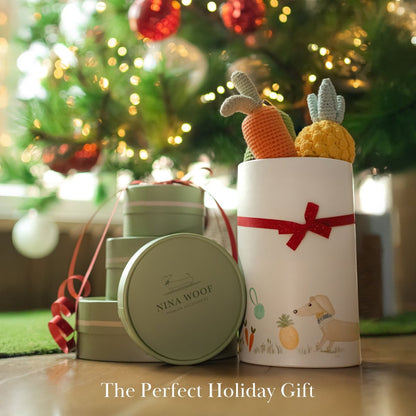 Organic Veggie Toys Bundle